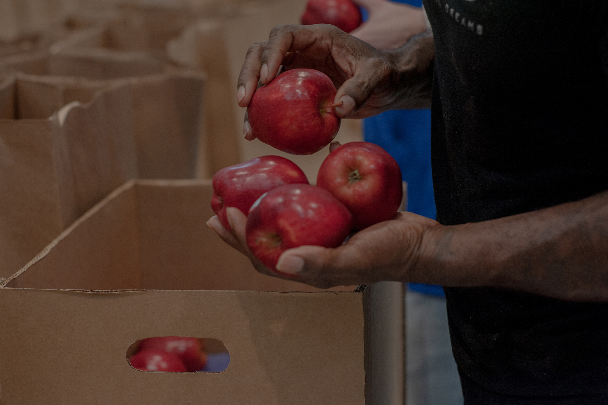 A pair of hands holding red apples.